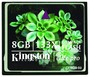 Карта Compact Flash Kingston 8GB CF 133x